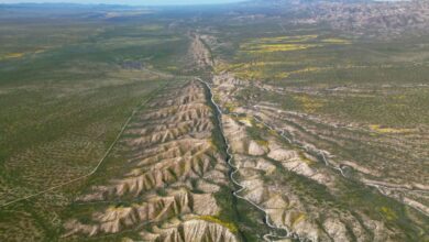 California Mega-Earthquake Risk at 1,000-Year High: Economic Stakes